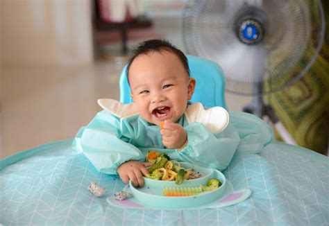 Das kissen dient dazu, dass das baby weich und gemütlich sitzt und nicht zu. Ab wann dürfen Babys alles essen? | Babyled Weaning Wissen ...