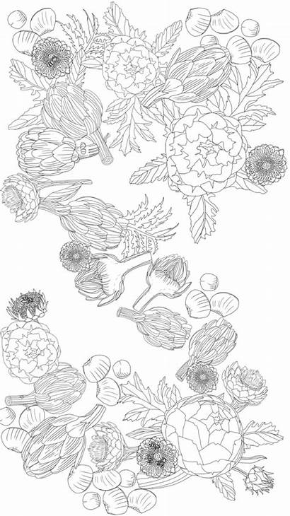 Coloring Adult Printable Artichoke Paradise Pages Lovers