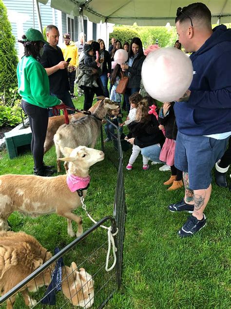 Petting Zoo For Parties And Birthdays Northern And Central Nj New Joy