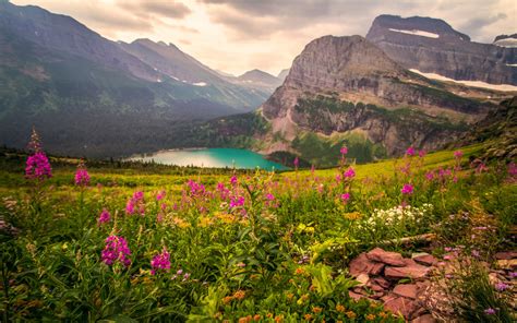 Landscape Mountains Mountain Lake Flowers Beautiful Hd Wallpaper 07134