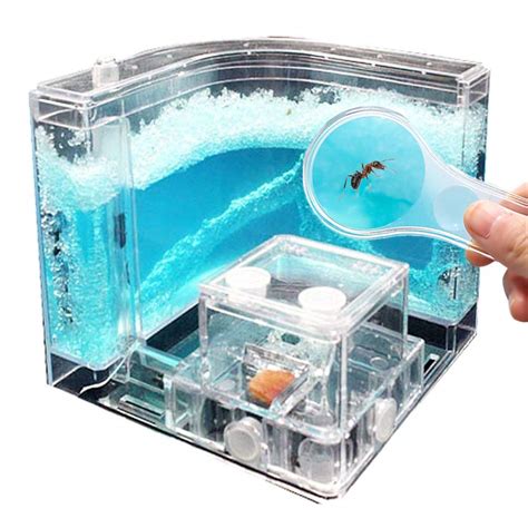 Buy Navadeal Ant Farm Castle For Kids Habitat Educational And Science