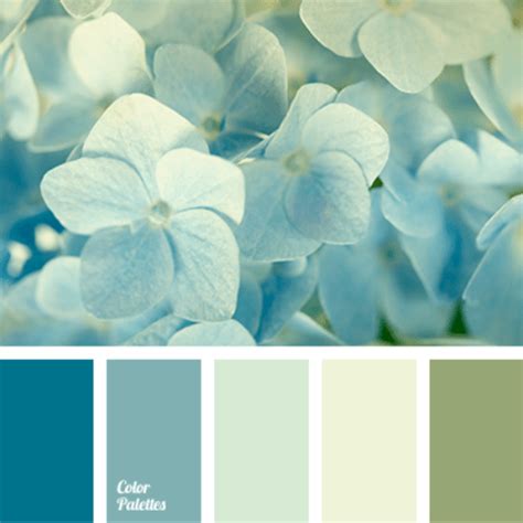 Mint Color Palette That Works Wonders For A Website ColibriWP Blog