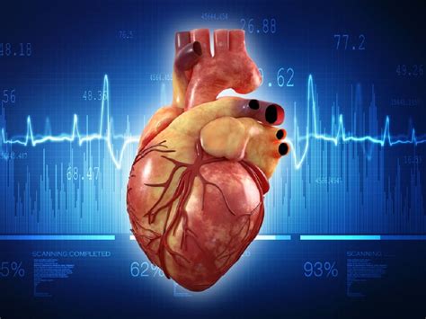 Perhatikan bahawa degupan jantung yang normal adalah antara 60 hingga 100 denyutan seminit. Kadar Denyutan Jantung Yang Sihat - Nuring