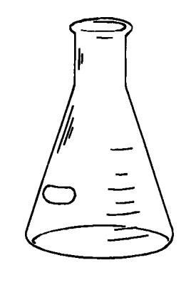 Preparing the conical (erlenmeyer) flask: Quia - Instruments Practice