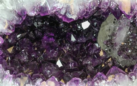 98 Dark Amethyst Geode From Uruguay 22 12 Lbs For Sale 41901