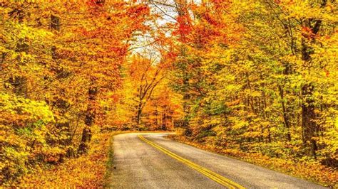 Maine's Favorite Fall Foliage Spots