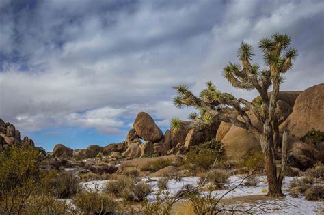 Starting The 52hikechallenge At Split Rock Trail Joshua Tree National