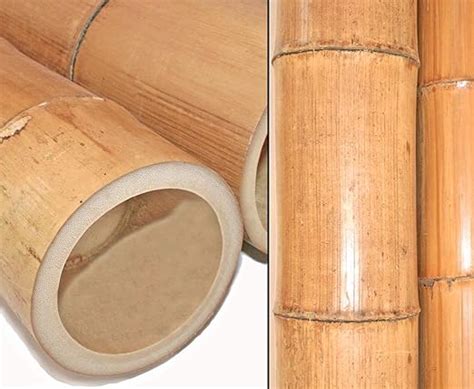 tube de bambou Moso 190 cm par 12 à 15 cm Gelbbraun hitzebehandelt