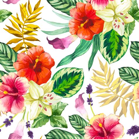 Tropical Flower Watercolor Wallpapers Top Free Tropical Flower