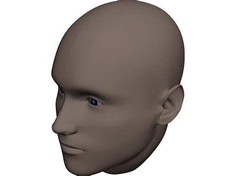 Human Head 3d Cad Model 3d Cad Browser