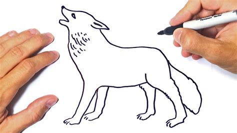 How To Draw A Wolf Step By Step Wolf Drawing Lesson Social Useful