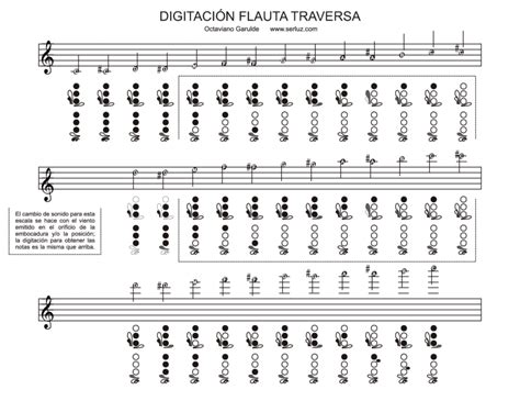 Resumen De Hơn 28 Artículos Como Se Toca La Flauta Travesera