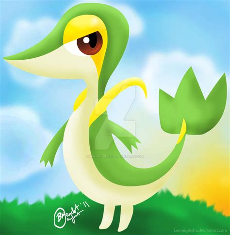 The Snivy By Bunniichan On Deviantart