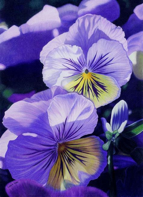 45 beautiful flower drawings and realistic color pencil drawings pinterest zeichnen leicht