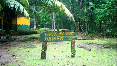 Descubre El Parque Nacional De Darién De Panamá