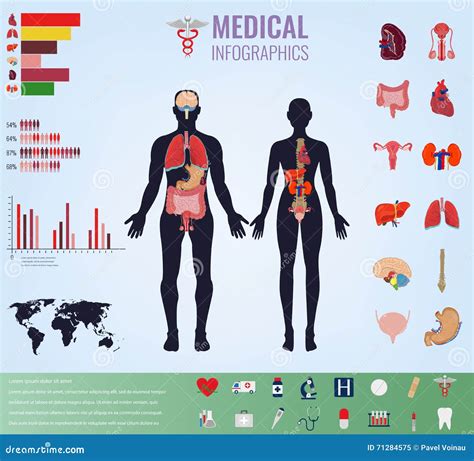 Medical Infographic Set With Charts And Other Elements Vector Stock