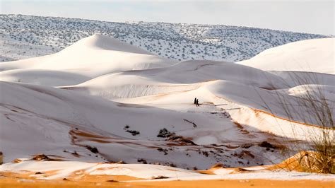 Snow on the sahara various artists 2018. PHOTOS: The Sahara Desert, Painted White With Snow : The ...