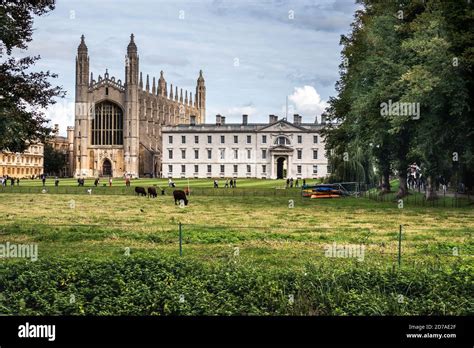 Kings College From The Backs Cambridge Showing Cows In Pasture In The