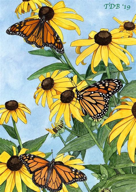 Twelve Days Of Butterflies Butterfly T Ideas For 2019 Monarch