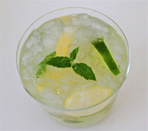 Hjemmelavet Lemonade Med Mynte Sofies Spisekammer Mynte