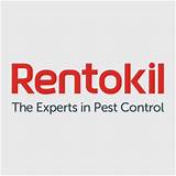 Maine Pest Control Companies