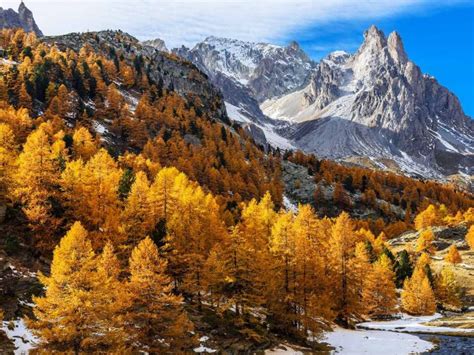 Fall Winter Bing Wallpaper Download