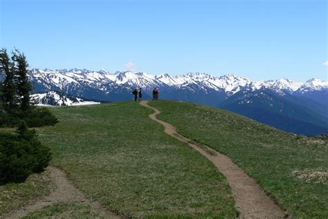 The View From Hurricane Ridge Trail Overlooking The