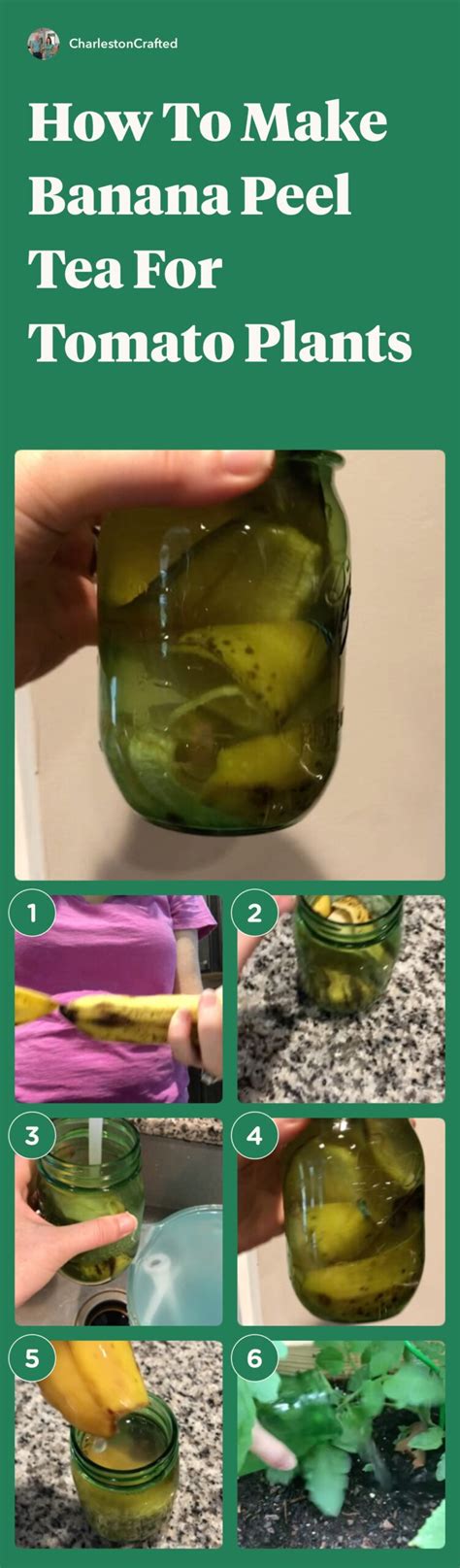 How To Make Banana Peel Water For Your Tomato Plants