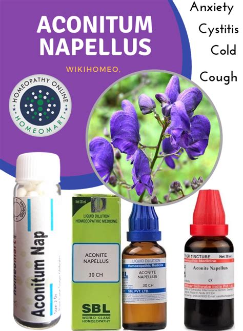 Compendious On Aconitum Napellus Indications Benefits Side Effects