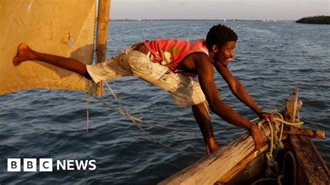 Africa S Week In Pictures March Bbc News