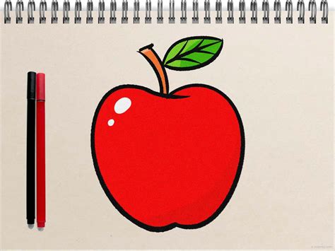 Apple Drawing How To Draw An Apple Step By Step