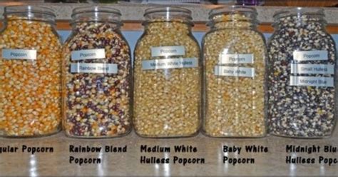 Popcorn Varieties Popcorn Popcorn Kernels And Different