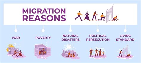 Migration Reasons Infographic Template Vector Art At Vecteezy