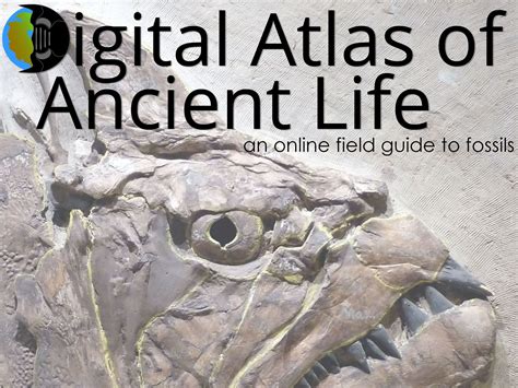 Digital Atlas Of Ancient Life Exploring The Diversity And History Of