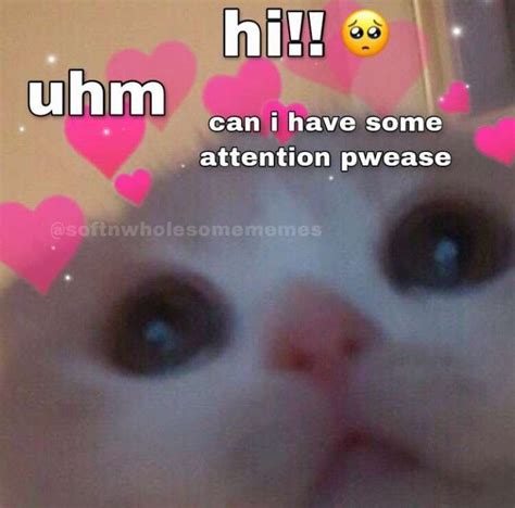 Wholesome Memes Cute Cat Cute Love Memes Cute Texts For Him Cute Jokes