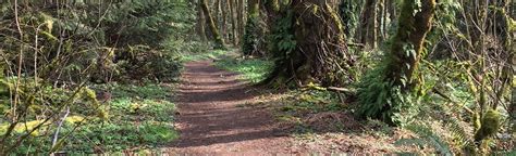 Tryon Creek Triple Bridge Loop Oregon 1316 Reviews Map Alltrails