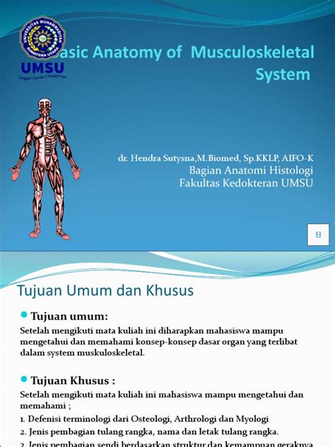 Anatomi Dasar Sistem Muskuloskeletal Pdf