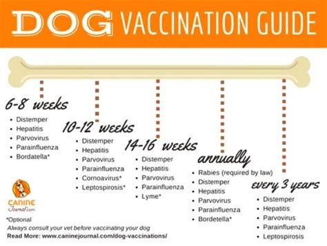 Not the best way to train a new employee in my opinion! Coronavirus In Dogs Vaccine Schedule