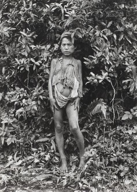 Global Nepali Museum Jeune Garçon Dans La Jungle Népalyoung Boy In