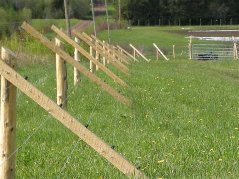 23 Diy Deer Fence For Garden Ideas You Cannot Miss Sharonsable