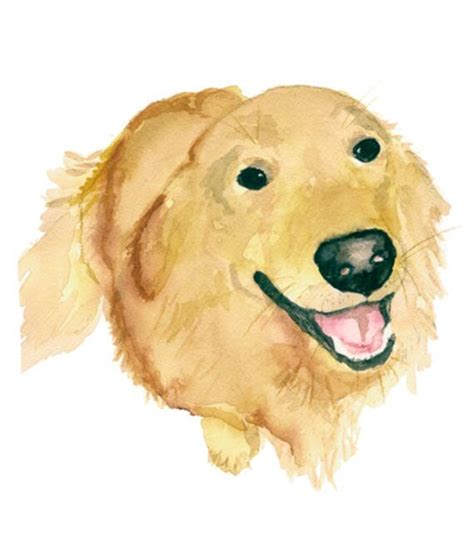 Golden Retriever Print From Original Watercolor Pet Portrait