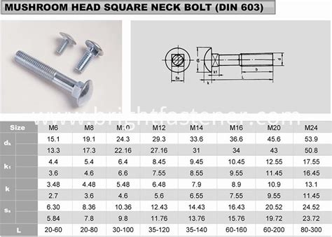 Metric Stainless Carriage Bolts