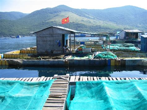 Aquaculture And Marine Protected Areas Report Iucn