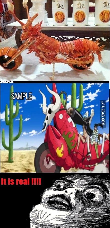 Only One Piece Fans Will Understand 9gag