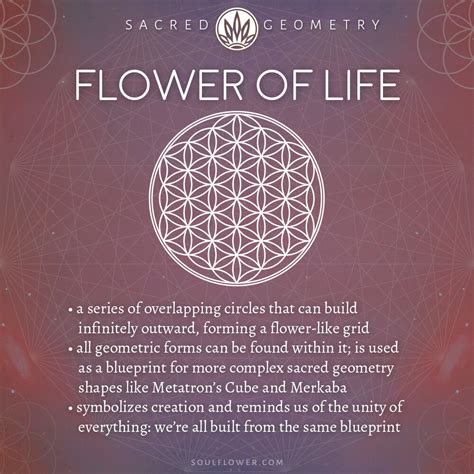 Sacred Geometry Flower Of Life Mandala Best Flower Site