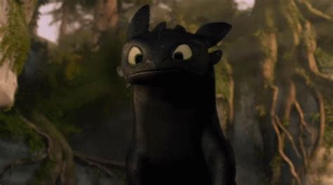 Toothless How To Train Your Dragon Toothless How To Train Your