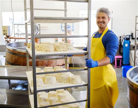 Handsome Cheesemaker Making Curd Cheese In His Factory Stock Photo