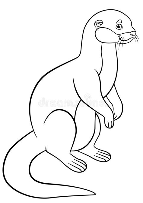 Coloring Pages Little Cute Otter Smiles Stock Vector Illustration Of