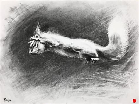 A Pencil Drawing Of A Squirrel Running
