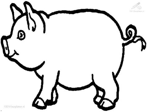 Pig Drawing Outline Clipart Best